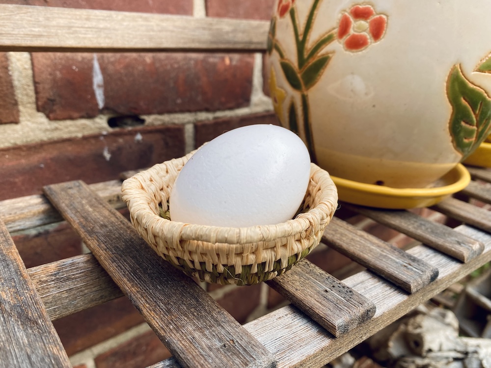 basket 4, holding a chicken egg